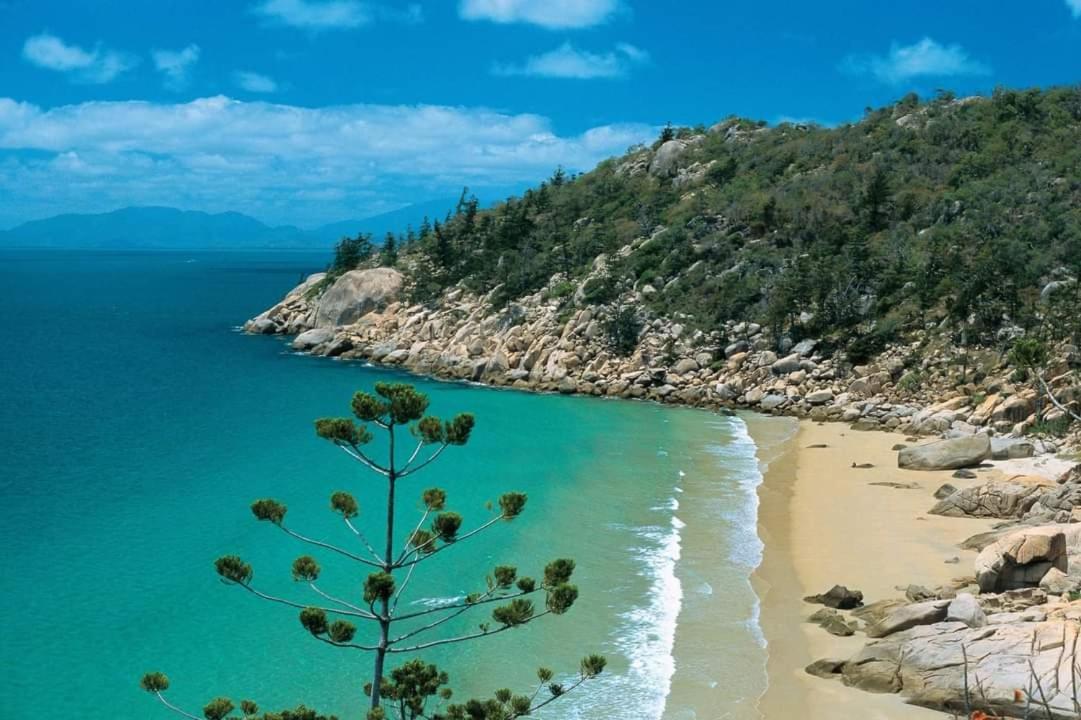Beachside Cottage - A Private Peaceful Hidden Gem 50m to Beach Nelly Bay Exterior foto